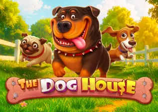 บาคาร่า เว็บตรง The Dog House ทดลองเล่นฟรี